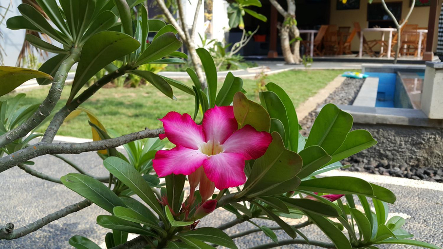 Facilities 3, The Taran Villas Lembongan, Klungkung