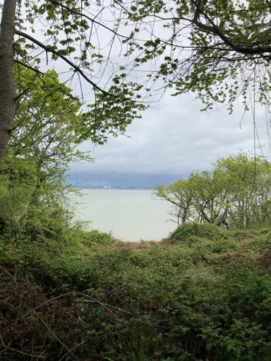 Others 5, Les Nord’mandines, Calvados