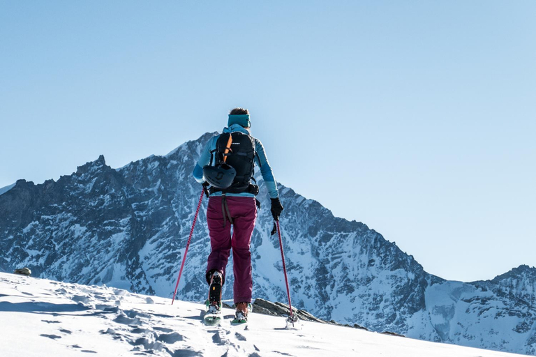 Others 5, Pointe de Zinal, Sierre