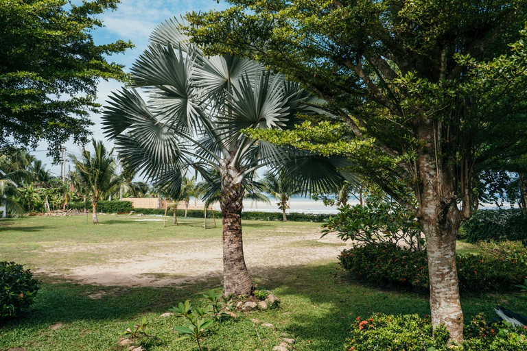 Others 4, Jayden Villas, Ko Phangan