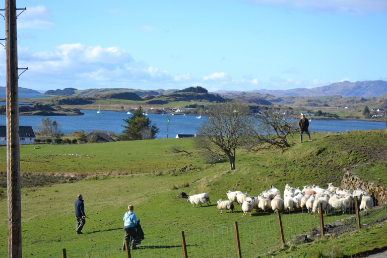 Others 3, Oban Seil Farm The Bothy, Argyll and Bute