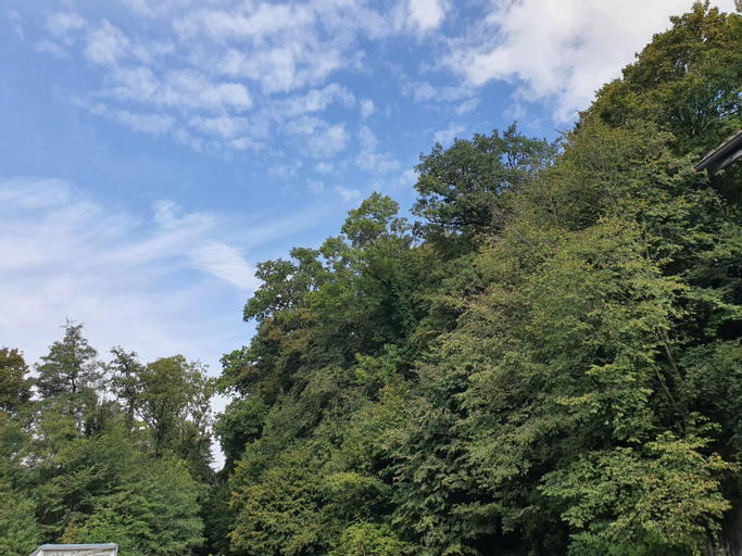 Exterior & Views 5, Landgasthof Biberenbad, Laupen
