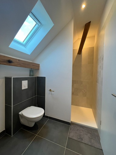Bathroom 3, Les Brimbelles - Gite & Spa, Haut-Rhin