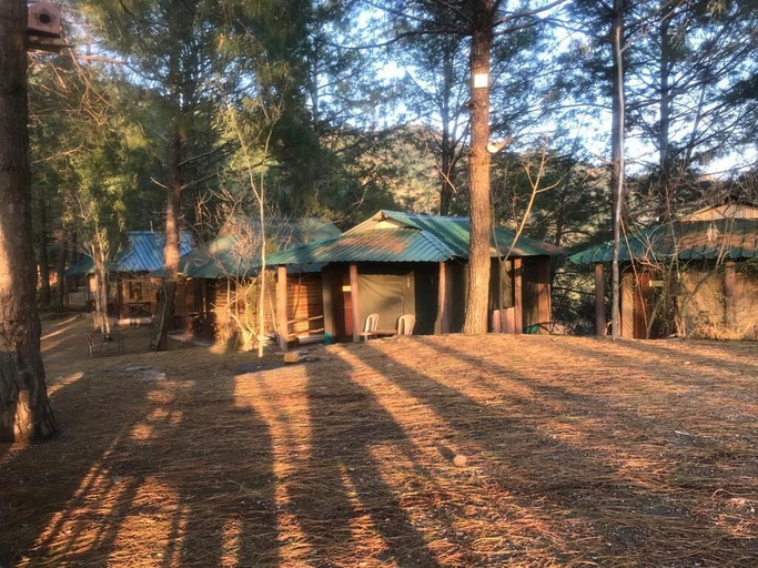 Others 4, Pinewood Nirvana, Solan