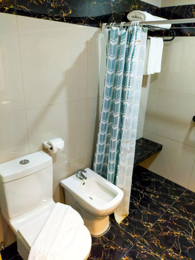 Others 4, MADISON PARK HOTEL, Tacloban City