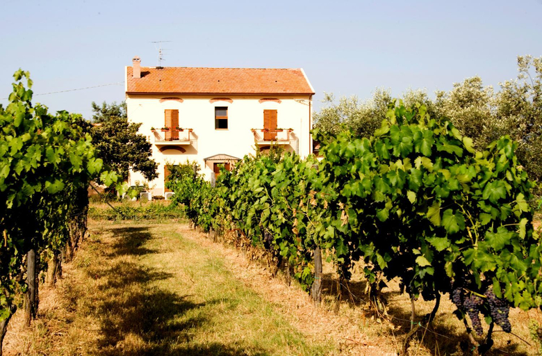 La Pulledraia Del Podere Montegrappa, Grosseto