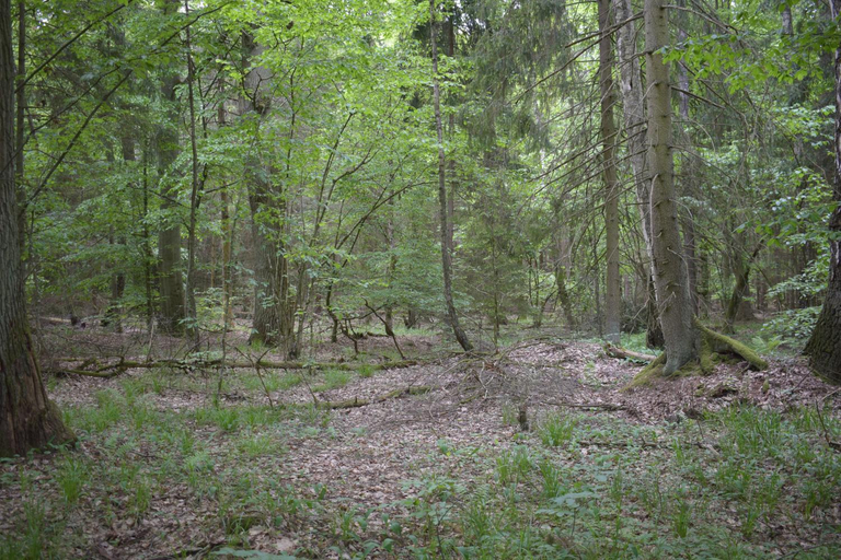 Others 3, Zakatek Warminski, Braniewo