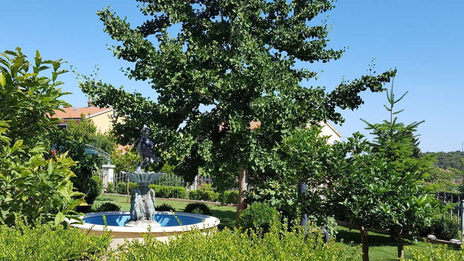Sport & Beauty, Apartments Ginkgo, Medulin