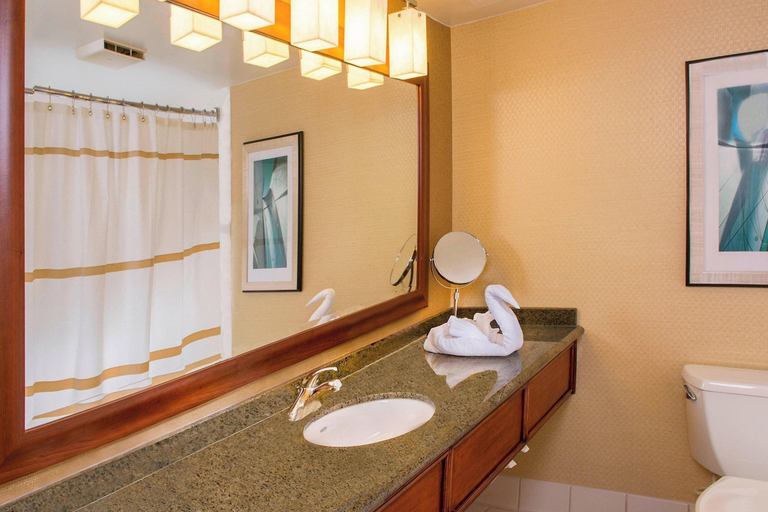 Bathroom 5, BWI Airport Marriott, Anne Arundel