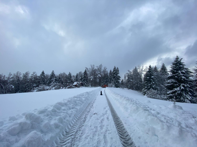 Others 5, Pine Lodge, Skrad