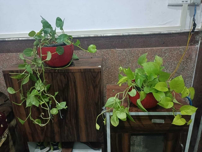 Others 3, Govind Bhawan, Mathura