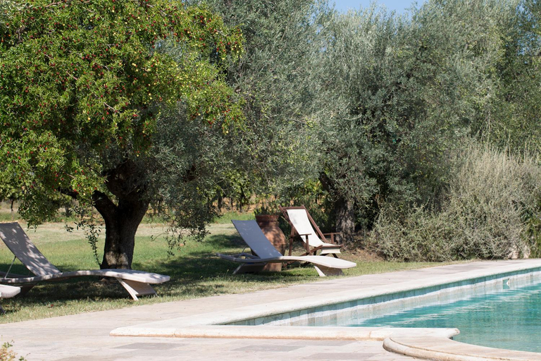 Sport & Beauty 2, Agriturismo Tra gli Ulivi, Chiappini Winery, Livorno