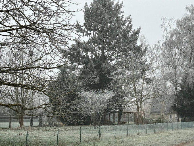 Others 5, La Haute Tremiere, Cher