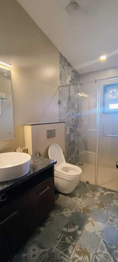 Bathroom 5, Carnival de Goa, North Goa