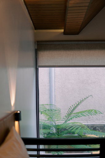 Scenery 8