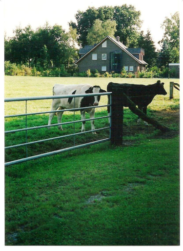 Others 5, Gastehaus Hankhausen, Ammerland