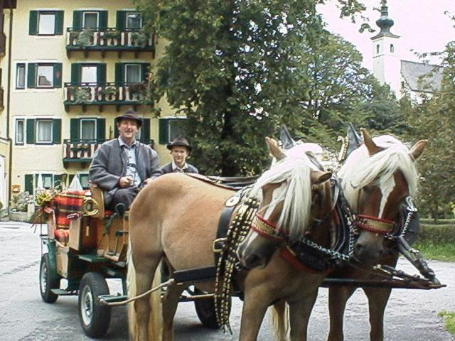 Others 5, Torrenerhof, Hallein