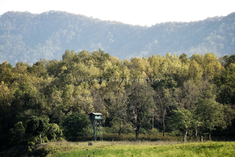 Others 5, The Corbett Rajae Homestay, Garhwal