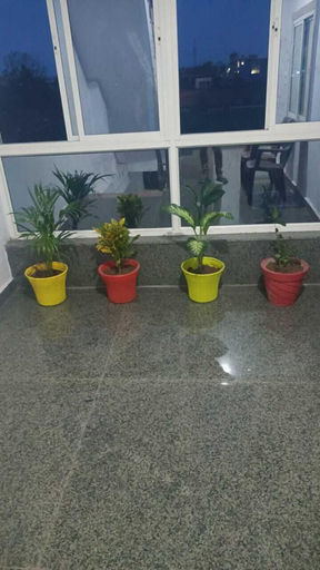 Others 4, Govind Bhawan, Mathura