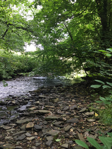 Others 2, Hesperus Lodge, Somerset