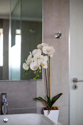 Bathroom 3, Standard Apartment, Very Cosy and Stylish Suitable for a Romantic Outing, City of Johannesburg