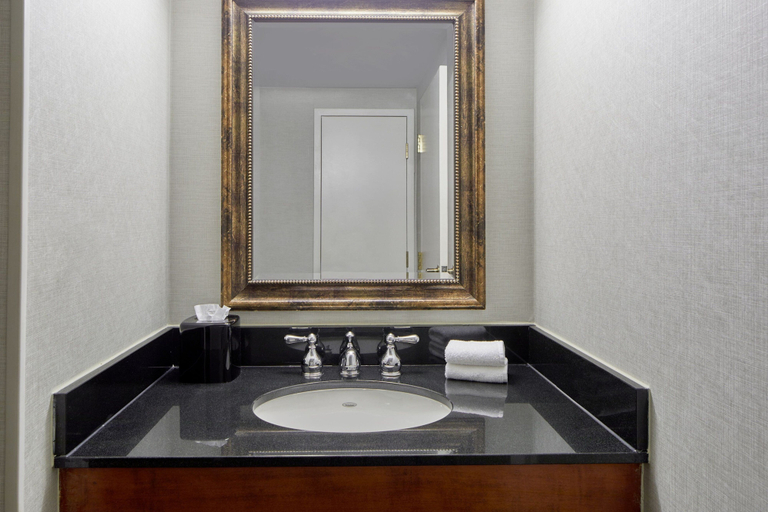 Bathroom 5, Detroit Metro Airport Marriott, Wayne