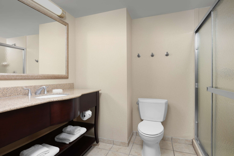 Bathroom 4, Hampton Inn Syracuse Clay, Onondaga