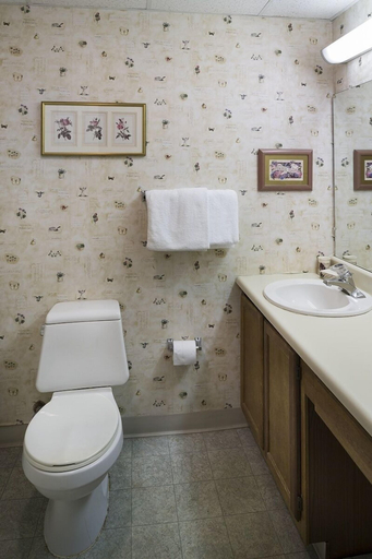 Bathroom 4, Little Pigeon River 602 2BD Condo with Private Balcony by RedAwning, Sevier