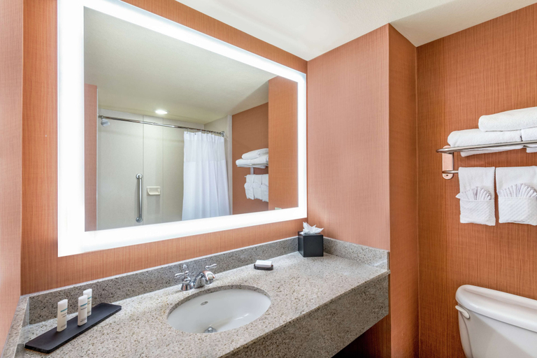 Bathroom 4, Embassy Suites by Hilton St. Louis St. Charles, Saint Charles