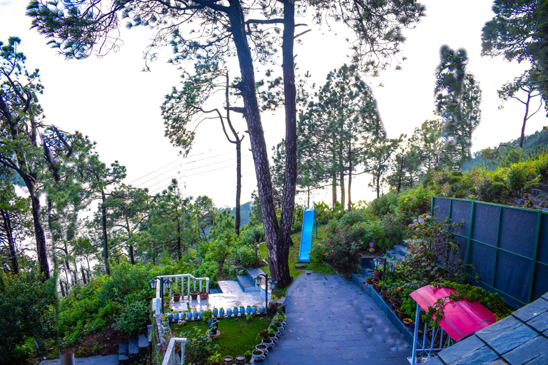 Others 5, WESTBERRY GARDEN VIEW SUNSET ROOM, Shimla