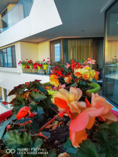 Others 3, Luxury Apartments Alix, Burgas