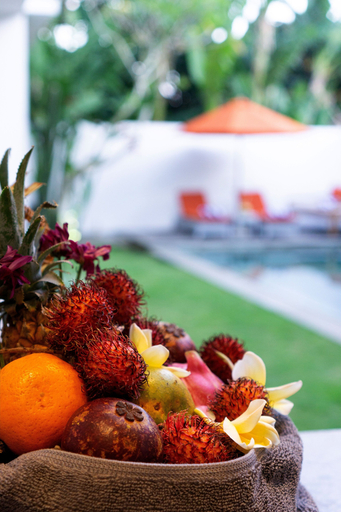 Food & Drinks 5, Beautiful Boho-chic 4br Tropical Villa in Pererenan Canggu, Badung