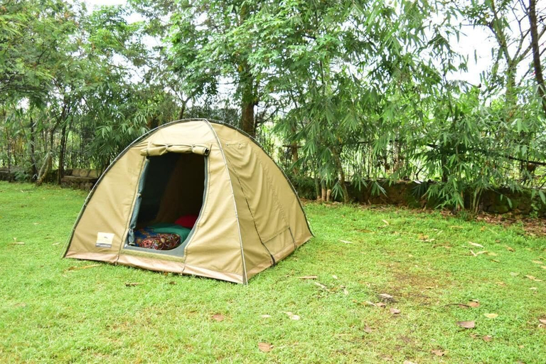 View from property 1, Room in B&B - Red Rocks Rwanda - Tent Twin, Musanze