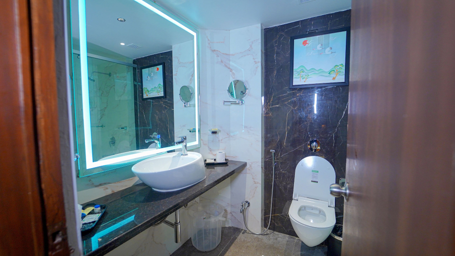 Bathroom 4, The Plaza, Hyderabad