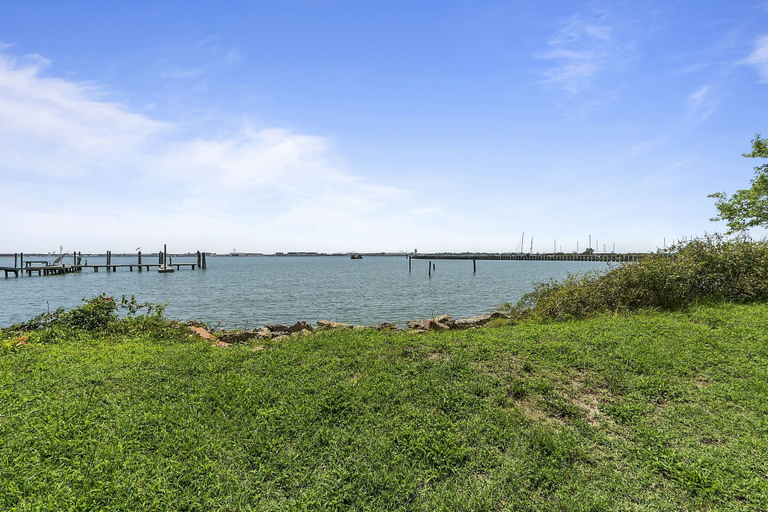 Primary image
