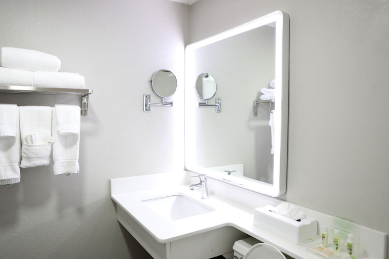 Bathroom 5, Holiday Inn CHICAGO OAKBROOK by IHG, Dupage