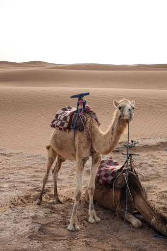 Others 3, Kasbah Aitisfoul, Ouarzazate
