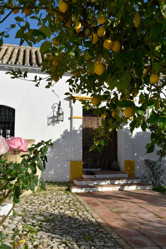 Others 2, FINCA LAS ROSAS DE SANTA ANA, Cádiz