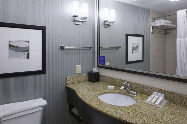 Bathroom 4, Hilton Garden Inn Jonesboro, Craighead