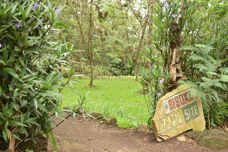 View from property 4, Room in B&B - Red Rocks Rwanda - Tent Twin, Musanze