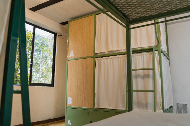 Bedroom 2, Viajero Salento Hostel, Salento