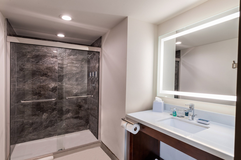 Bathroom 3, Four Points by Sheraton Atlanta Airport West, Fulton