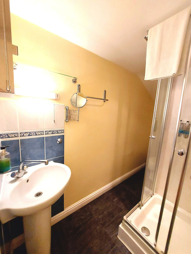 Bathroom 5, Dolgun Uchaf Guesthouse, Gwynedd