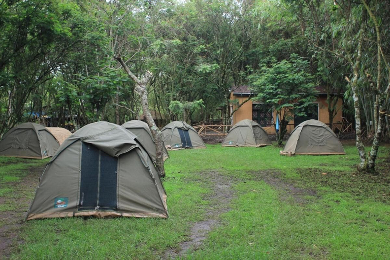 Primary image, Room in B&B - Red Rocks Rwanda - Tent Twin, Musanze