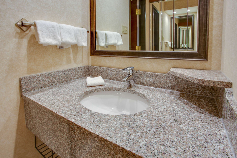 Bathroom 4, Drury Inn & Suites Terre Haute, Vigo