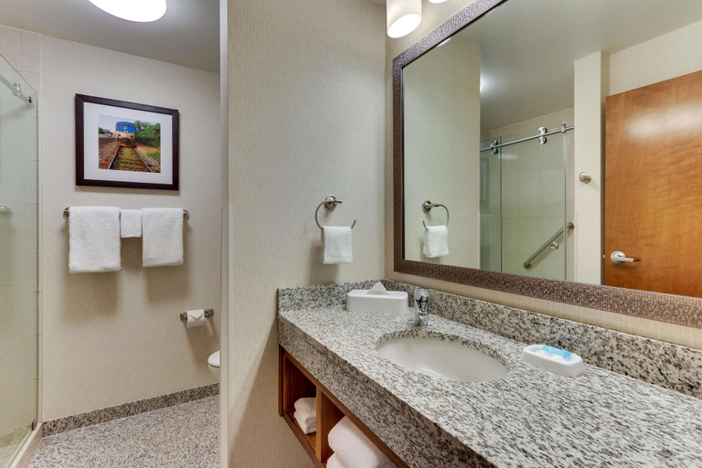 Bathroom 4, Drury Inn & Suites Lafayette, IN, Tippecanoe