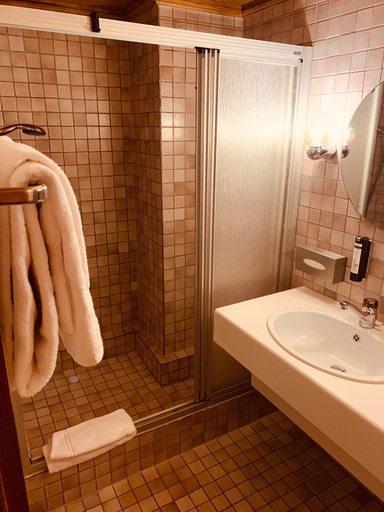 Bathroom 5, Le Saint Georges, La Gruyère