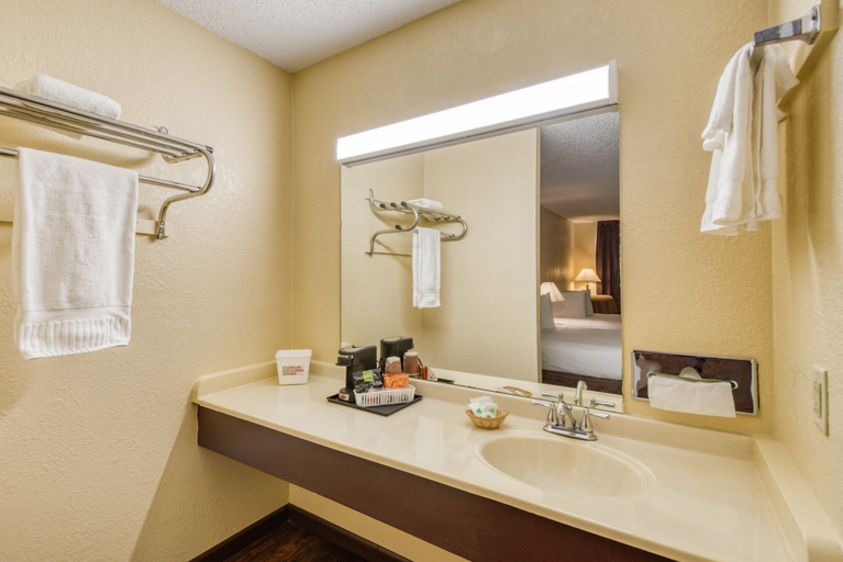 Bathroom sink 3, Palms Garden Inn, Columbia