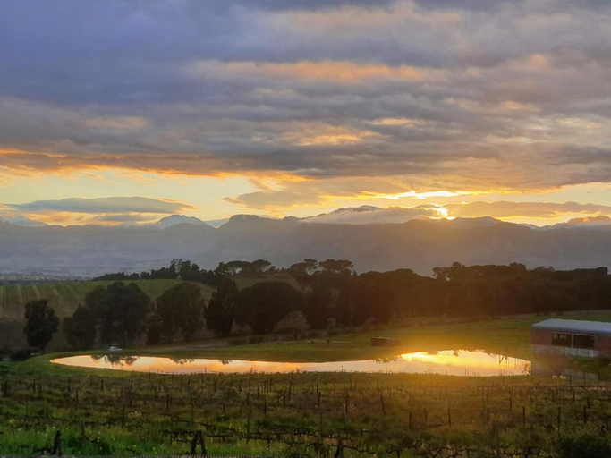 Others 5, Mon Reve Estate, Cape Winelands