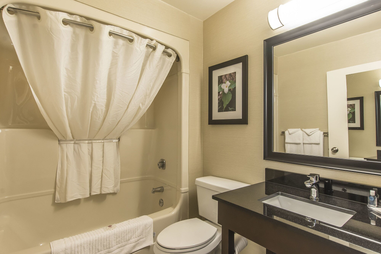 Bathroom 4, Comfort Inn, Muskoka